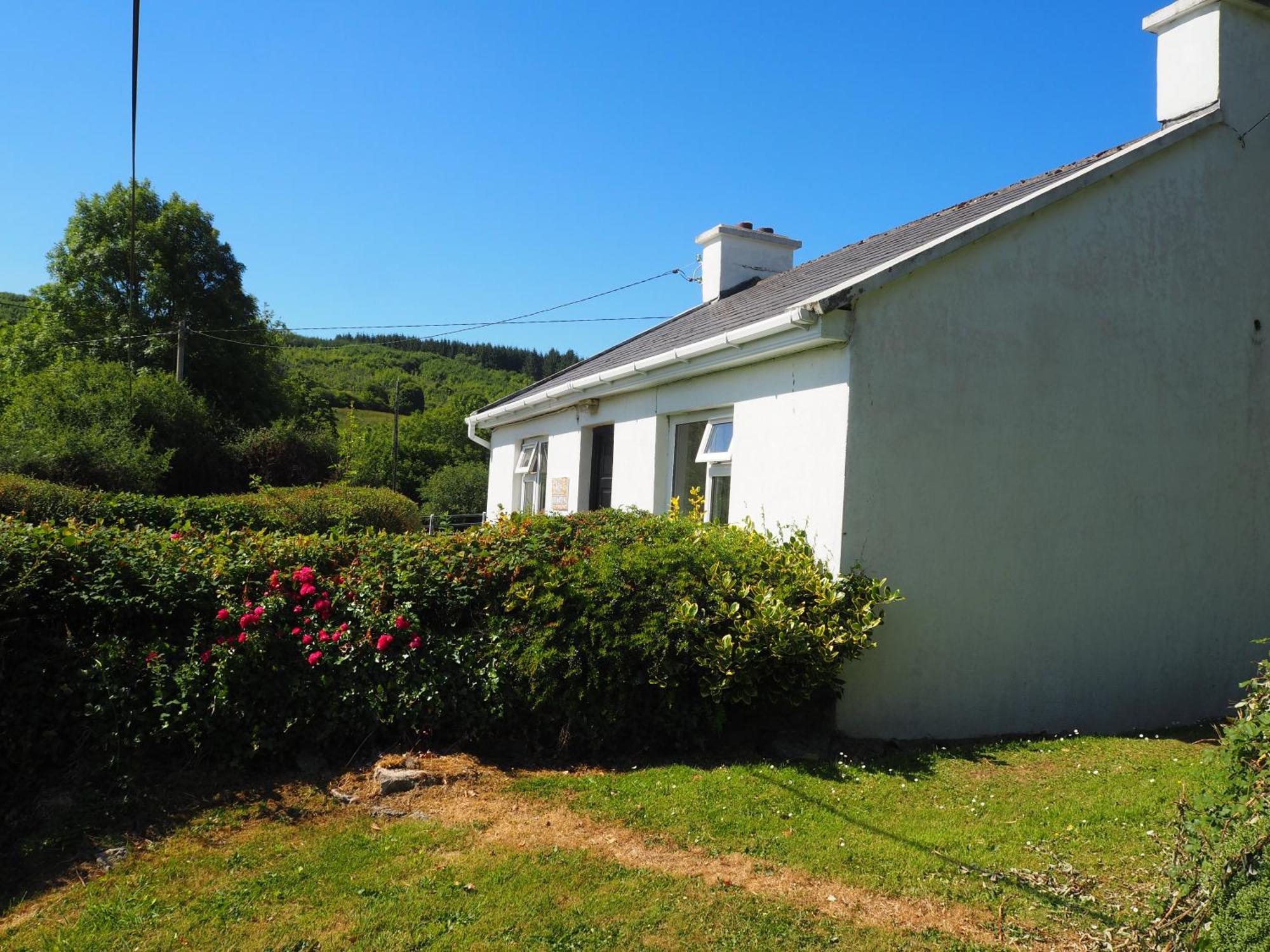 The Cottage @ Burkedale House Corofin  Eksteriør billede