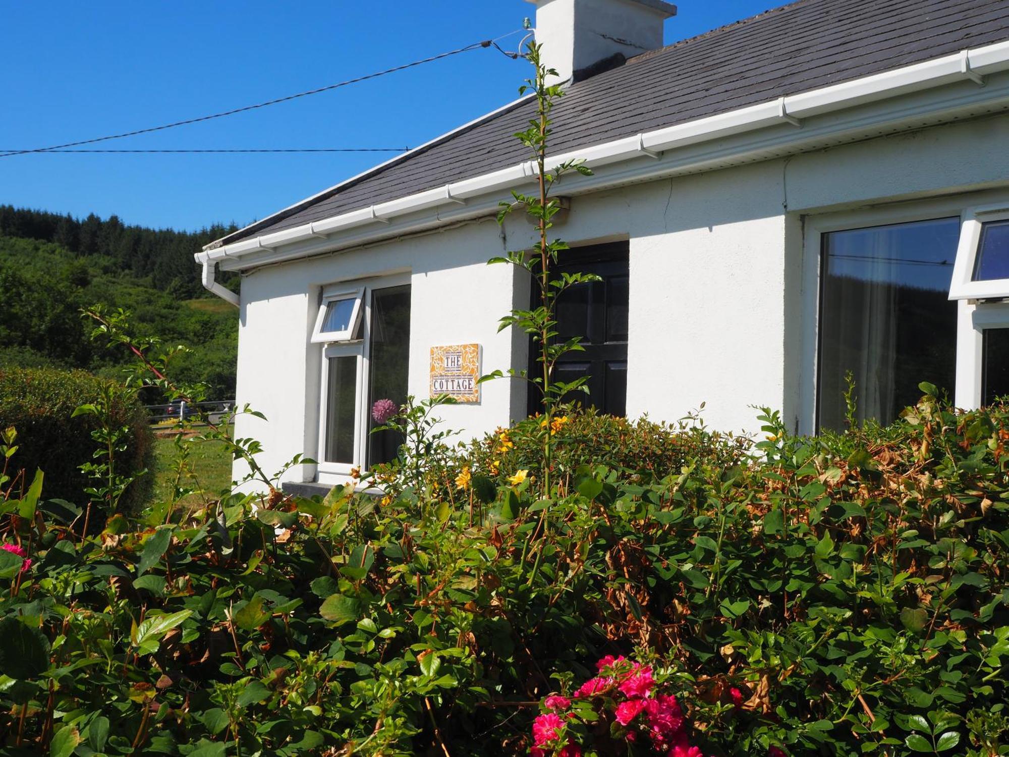 The Cottage @ Burkedale House Corofin  Eksteriør billede