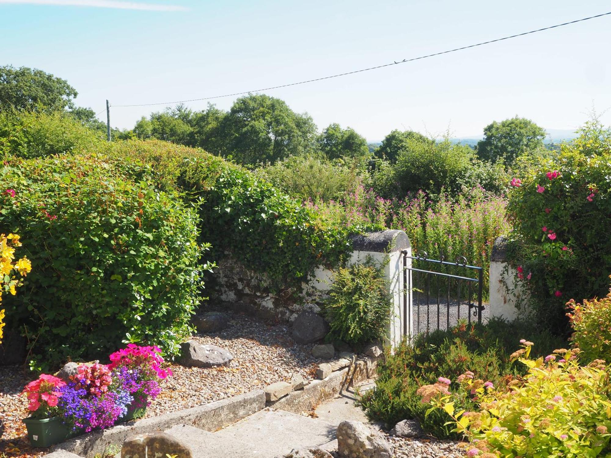 The Cottage @ Burkedale House Corofin  Eksteriør billede