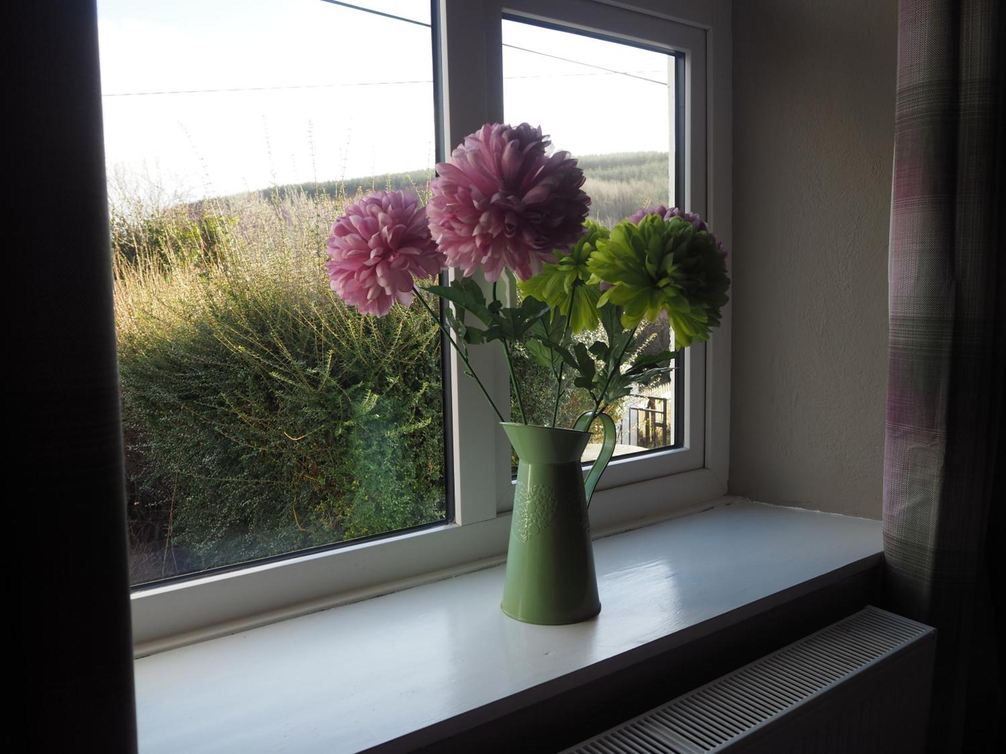 The Cottage @ Burkedale House Corofin  Eksteriør billede