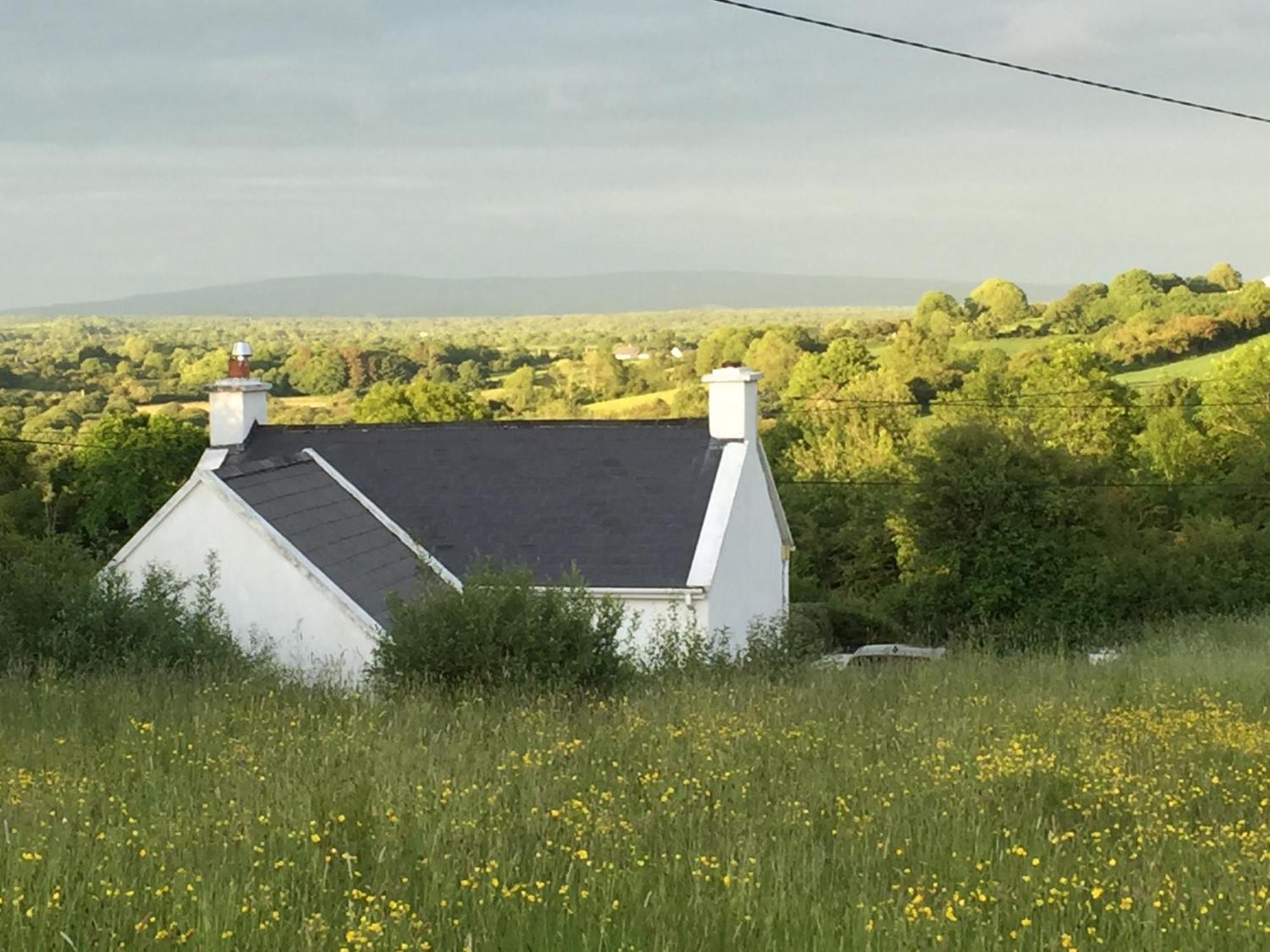 The Cottage @ Burkedale House Corofin  Eksteriør billede